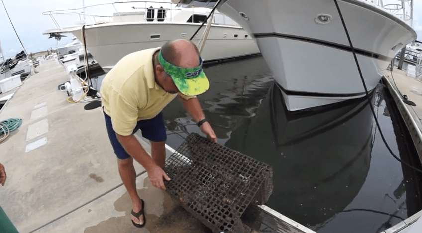 Pin fish traps Shawn Raulerson